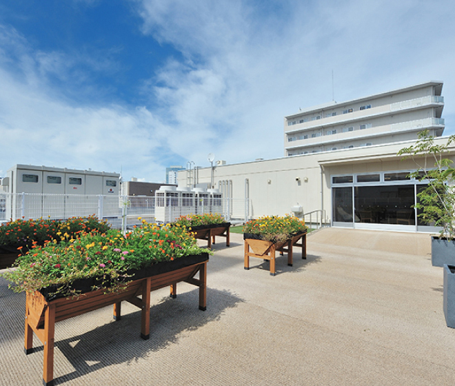 屋上広場・花壇